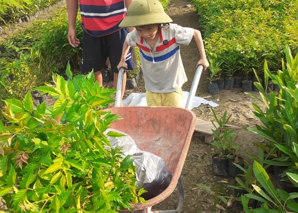 VƯỜN ƯƠM THẮNG DUNG - CÂY GIỐNG TRẢNG BOM
